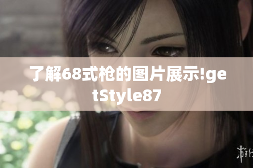 了解68式枪的图片展示!getStyle87