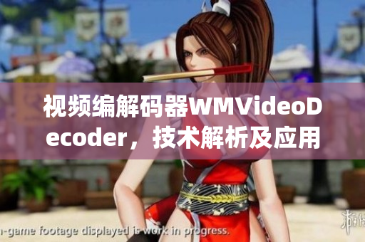 视频编解码器WMVideoDecoder，技术解析及应用探索(1)