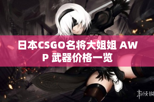 日本CSGO名将大姐姐 AWP 武器价格一览