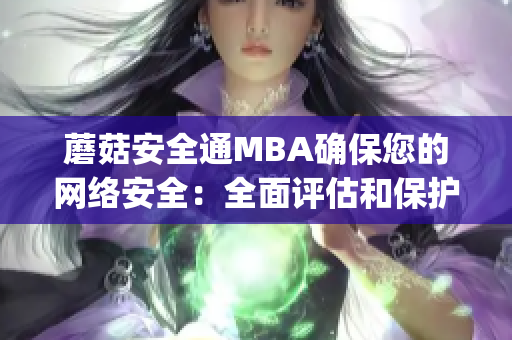 蘑菇安全通MBA确保您的网络安全：全面评估和保护措施(1)