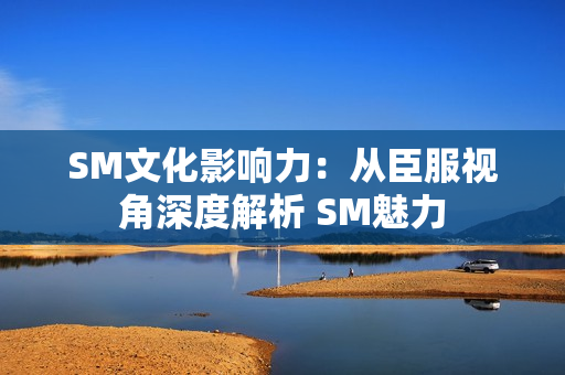 SM文化影响力：从臣服视角深度解析 SM魅力