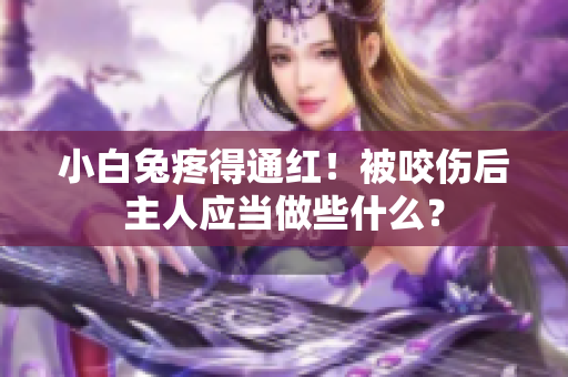 小白兔疼得通红！被咬伤后主人应当做些什么？