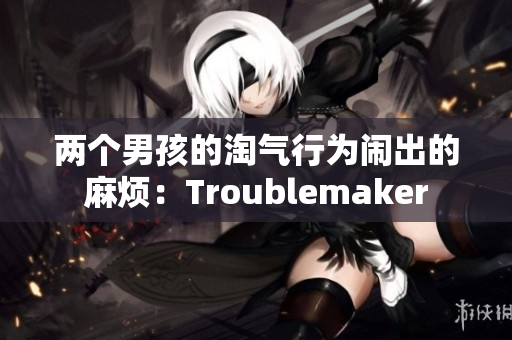 两个男孩的淘气行为闹出的麻烦：Troublemaker