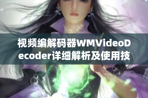 视频编解码器WMVideoDecoder详细解析及使用技巧。(1)