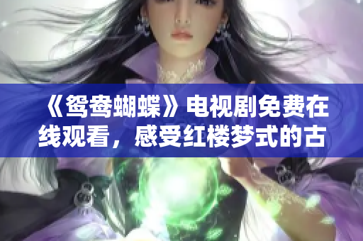 《鸳鸯蝴蝶》电视剧免费在线观看，感受红楼梦式的古风韵味