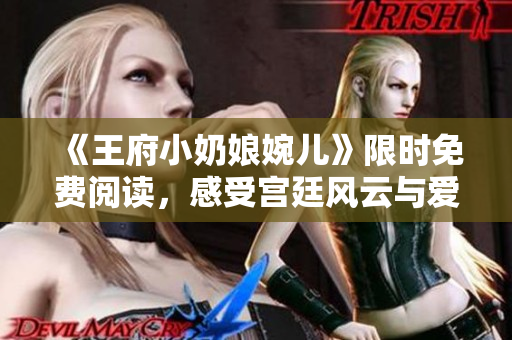 《王府小奶娘婉儿》限时免费阅读，感受宫廷风云与爱情故事！