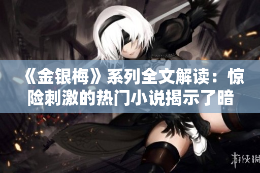 《金银梅》系列全文解读：惊险刺激的热门小说揭示了暗黑世界真相