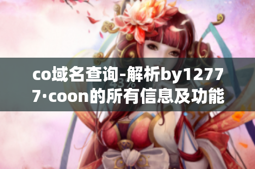 co域名查询-解析by12777·coon的所有信息及功能
