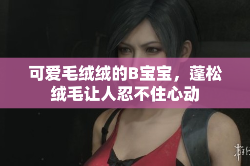 可爱毛绒绒的B宝宝，蓬松绒毛让人忍不住心动