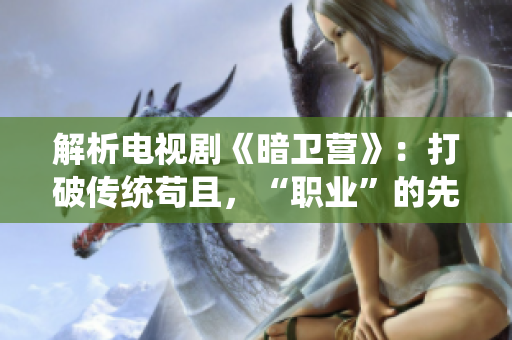 解析电视剧《暗卫营》：打破传统苟且，“职业”的先进性  HPN