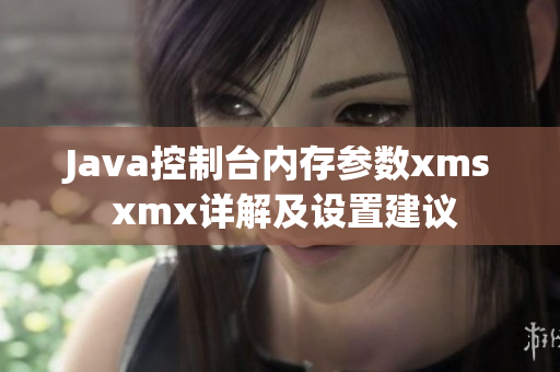 Java控制台内存参数xms xmx详解及设置建议