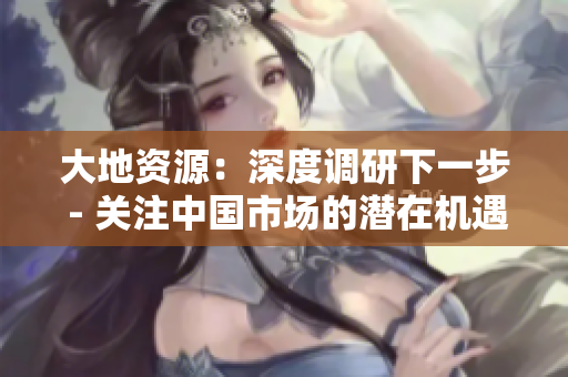 大地资源：深度调研下一步 - 关注中国市场的潜在机遇