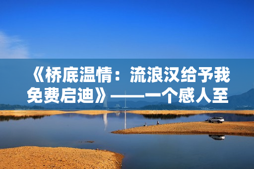《桥底温情：流浪汉给予我免费启迪》——一个感人至深的故事