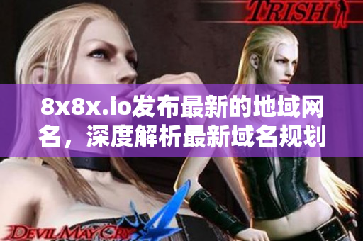 8x8x.io发布最新的地域网名，深度解析最新域名规划