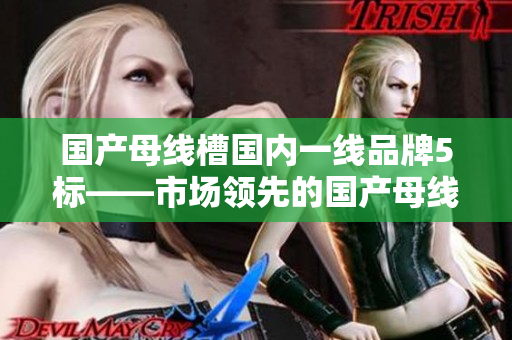 国产母线槽国内一线品牌5标——市场领先的国产母线槽品牌