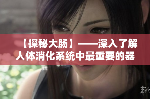 【探秘大肠】——深入了解人体消化系统中最重要的器官