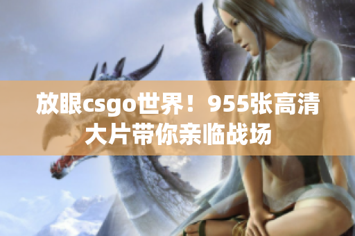 放眼csgo世界！955张高清大片带你亲临战场