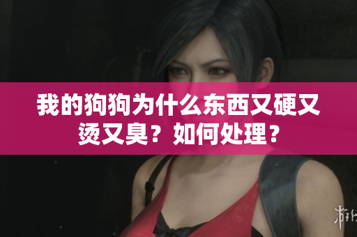 我的狗狗为什么东西又硬又烫又臭？如何处理？