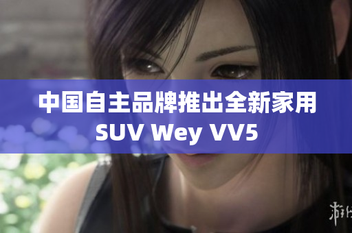 中国自主品牌推出全新家用SUV Wey VV5