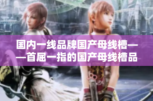 国内一线品牌国产母线槽——首屈一指的国产母线槽品牌