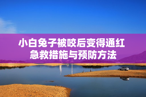小白兔子被咬后变得通红 急救措施与预防方法