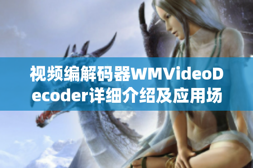 视频编解码器WMVideoDecoder详细介绍及应用场景分析(1)