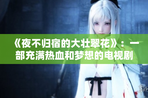 《夜不归宿的大壮翠花》：一部充满热血和梦想的电视剧