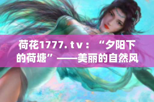 荷花1777. tⅴ：“夕阳下的荷塘”——美丽的自然风光(1)