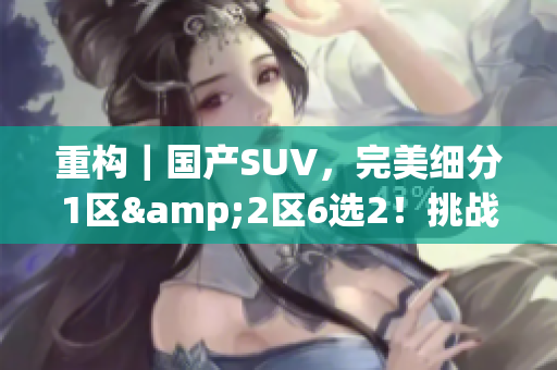 重构｜国产SUV，完美细分1区&2区6选2！挑战多样化选择！