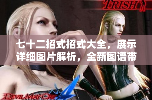 七十二招式招式大全，展示详细图片解析，全新图谱带你领略武术精髓