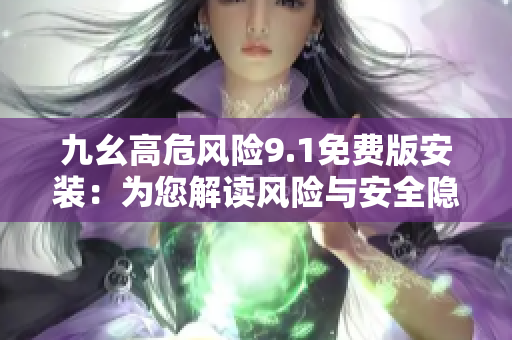 九幺高危风险9.1免费版安装：为您解读风险与安全隐患