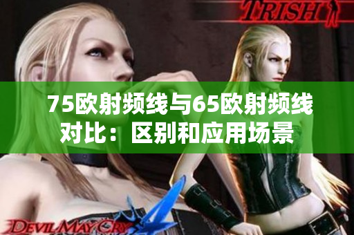  75欧射频线与65欧射频线对比：区别和应用场景