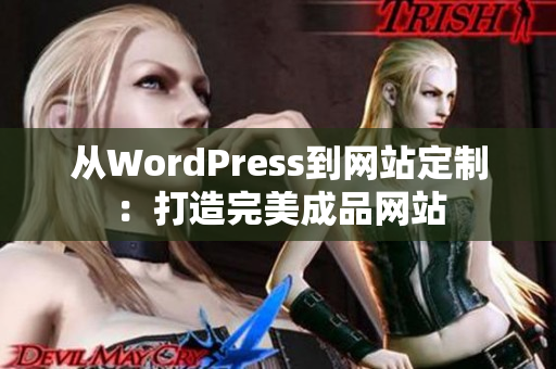 从WordPress到网站定制：打造完美成品网站