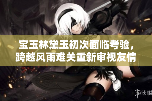 宝玉林黛玉初次面临考验，跨越风雨难关重新审视友情、爱情和人生。