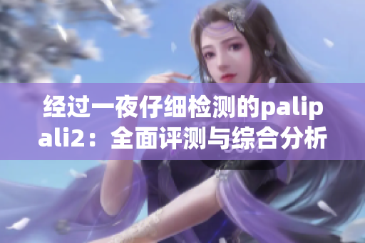 经过一夜仔细检测的palipali2：全面评测与综合分析(1)