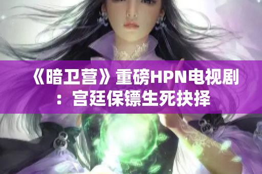 《暗卫营》重磅HPN电视剧：宫廷保镖生死抉择