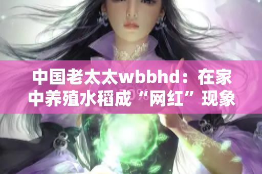 中国老太太wbbhd：在家中养殖水稻成“网红”现象