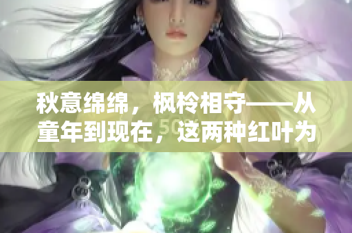 秋意绵绵，枫柃相守——从童年到现在，这两种红叶为何如此独特？