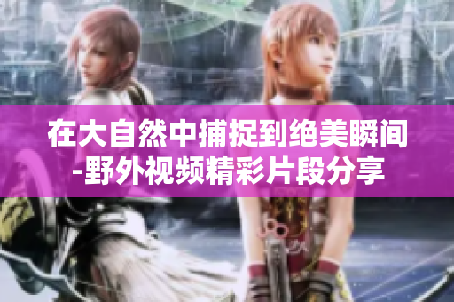 在大自然中捕捉到绝美瞬间-野外视频精彩片段分享