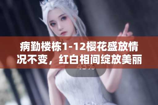 病勤楼栋1-12樱花盛放情况不变，红白相间绽放美丽