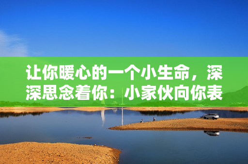 让你暖心的一个小生命，深深思念着你：小家伙向你表达感情。