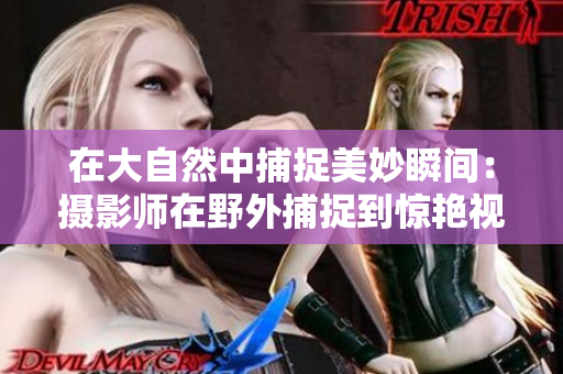 在大自然中捕捉美妙瞬间：摄影师在野外捕捉到惊艳视频
