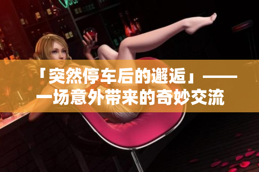 「突然停车后的邂逅」——一场意外带来的奇妙交流