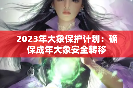 2023年大象保护计划：确保成年大象安全转移