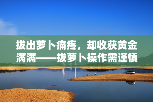 拔出萝卜痛疼，却收获黄金满满——拔萝卜操作需谨慎！