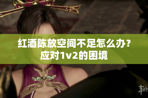 红酒陈放空间不足怎么办？应对1v2的困境