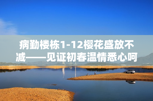 病勤楼栋1-12樱花盛放不减——见证初春温情悉心呵护