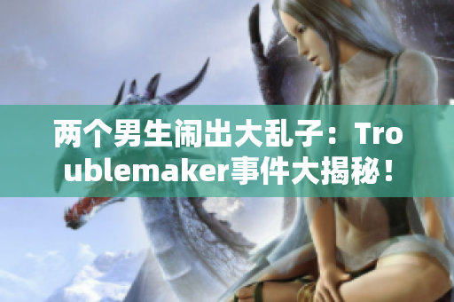 两个男生闹出大乱子：Troublemaker事件大揭秘！