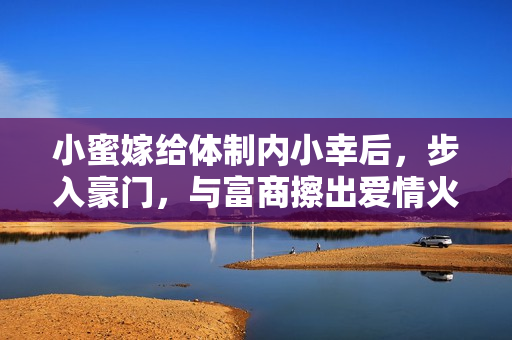 小蜜嫁给体制内小幸后，步入豪门，与富商擦出爱情火花