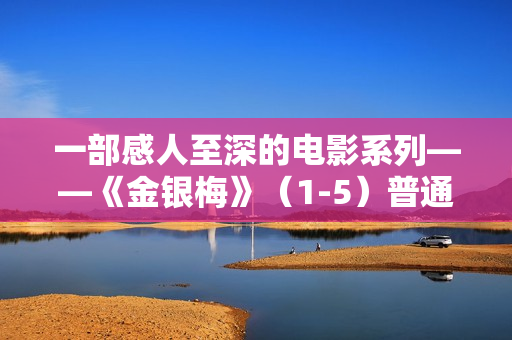 一部感人至深的电影系列——《金银梅》（1-5）普通话版